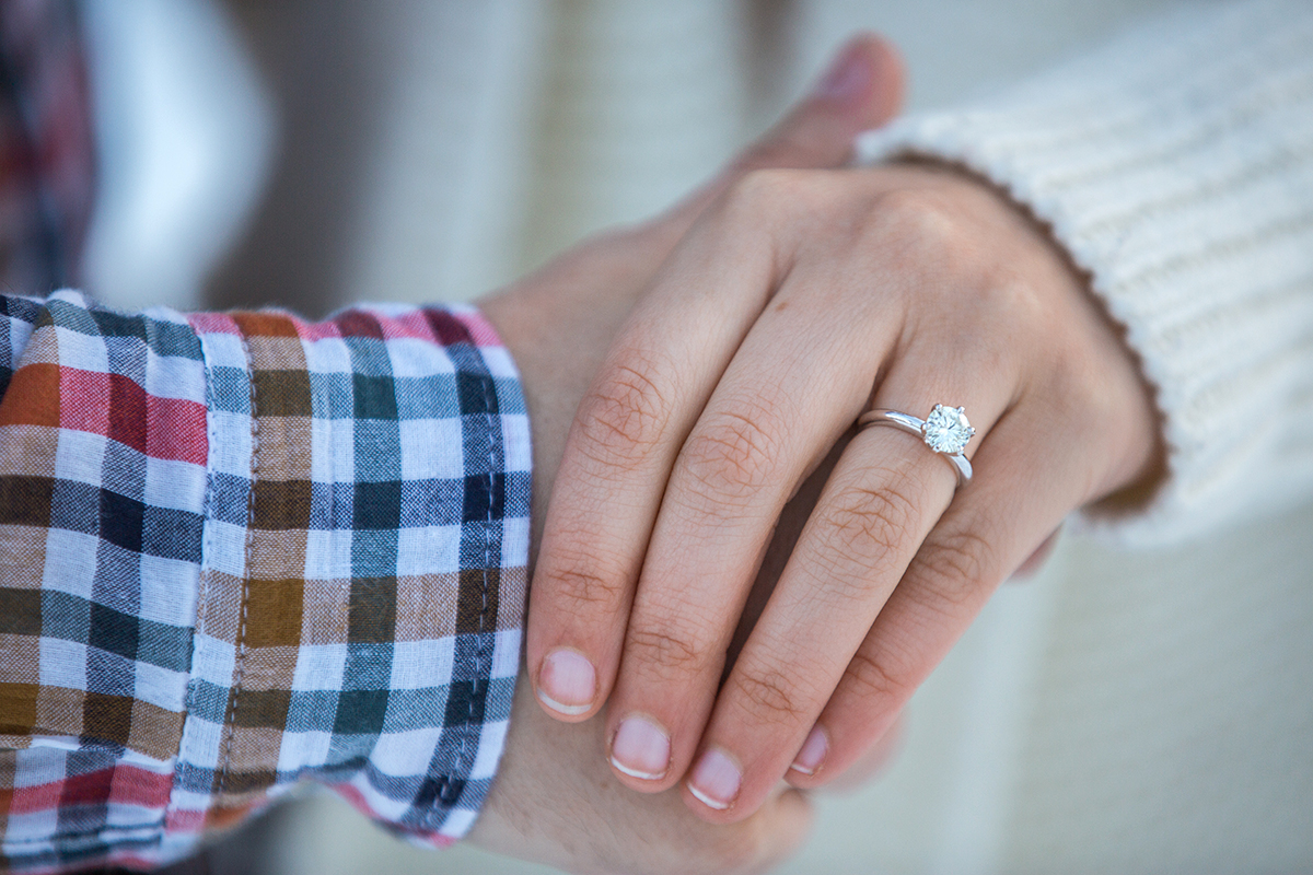 [Surprise Proposal in Central Park near West 100th street ]– photo[11]