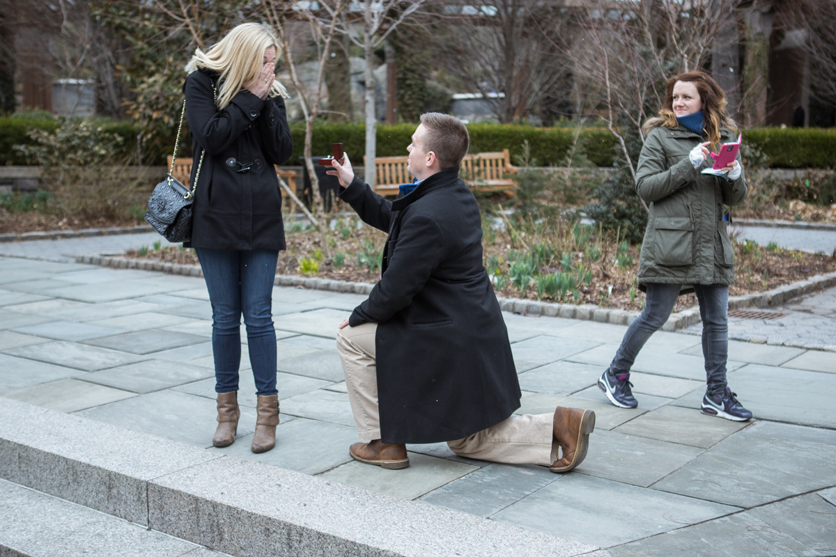 [Marriage Proposal in Central Park Zoo ]– photo[1]