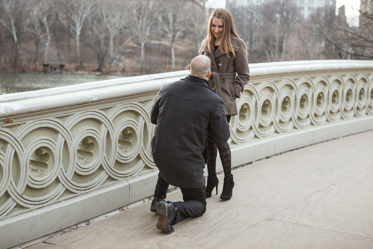 [Bow Bridge Marriage Proposal]– photo[1]