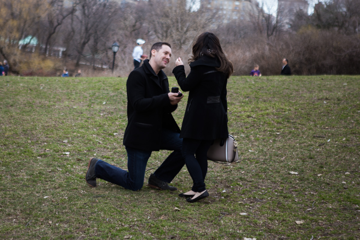 [Secret Proposal near Bow bridge, Central Park]– photo[1]