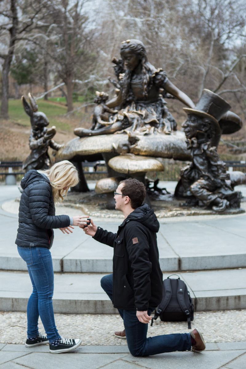 [Surprise wedding proposal by Alice in Wonderland statue in Central Park]– photo[1]