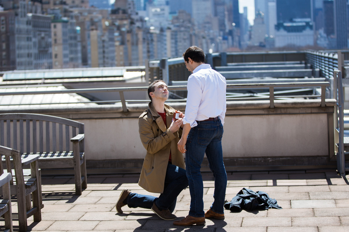 [Surprise marriage proposal at Metropolitan Museum of Art]– photo[1]