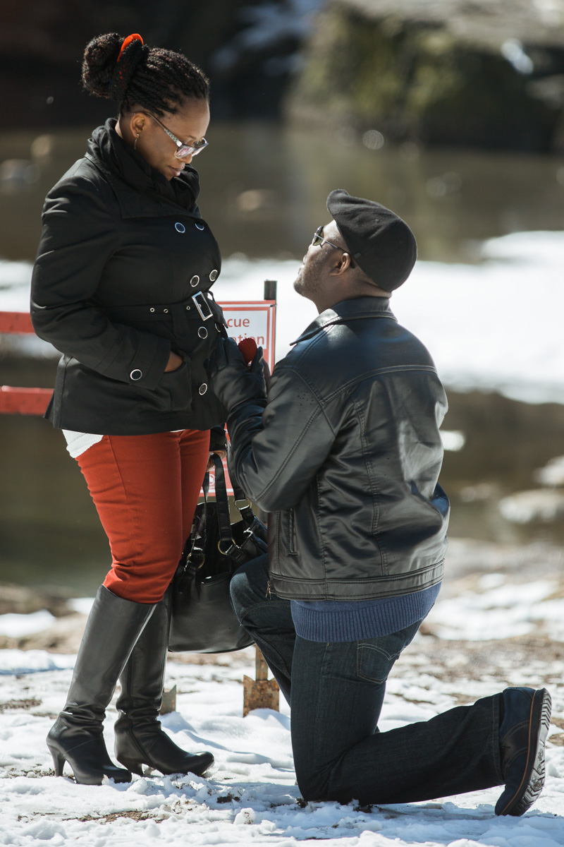 [Surprise Proposal by Gapstow Bridge]– photo[1]