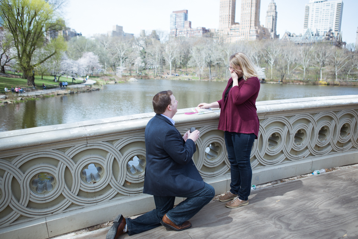 [Bow Bridge marriage proposal ]– photo[1]
