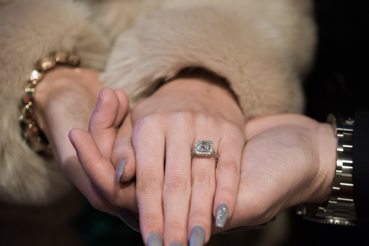 [Marriage Proposal by Plaza Hotel]– photo[7]