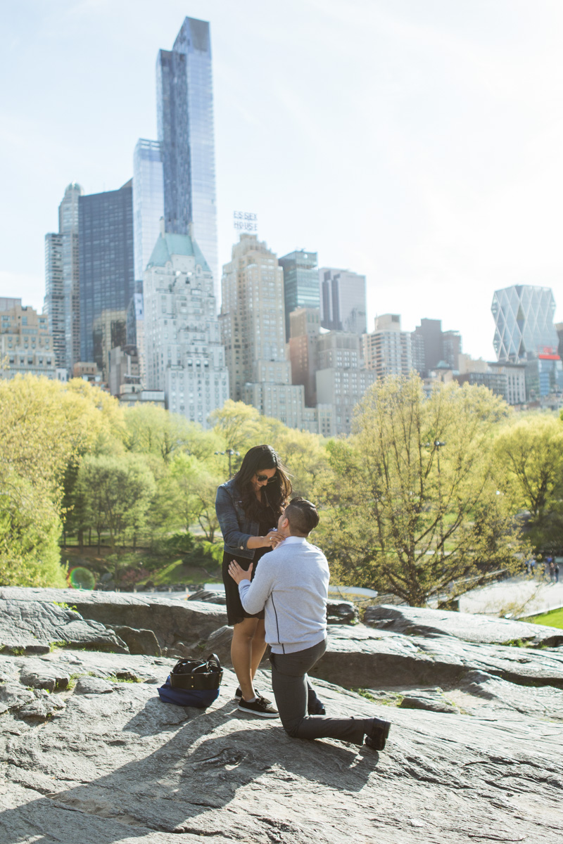 [Central Park the Rock proposal ]– photo[1]