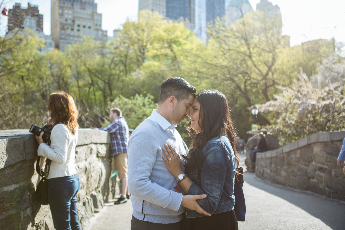 [Central Park the Rock proposal ]– photo[3]