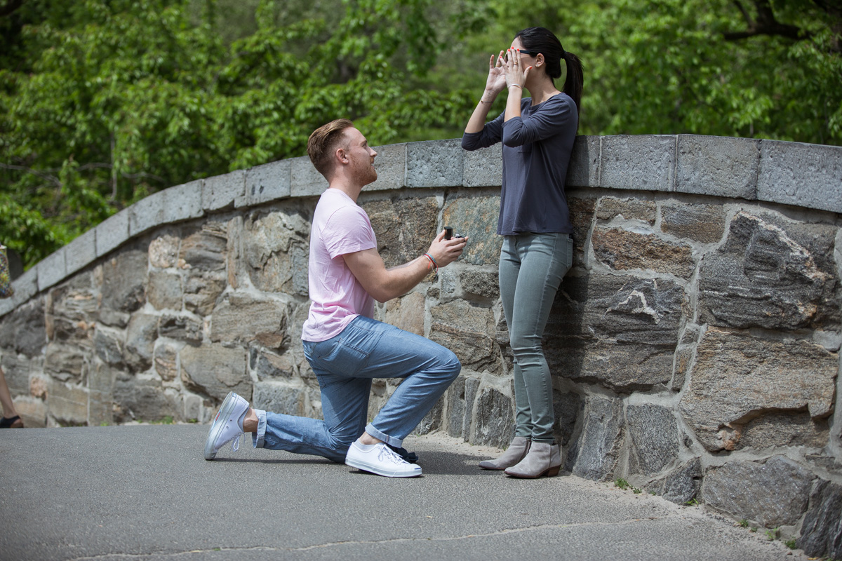 [Gapstow bridge wedding proposal ]– photo[1]