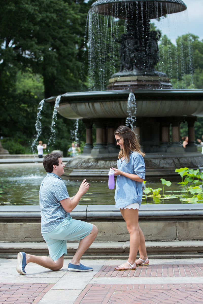 [Marriage Proposal by Bethesda Fountain in Central Park]– photo[1]