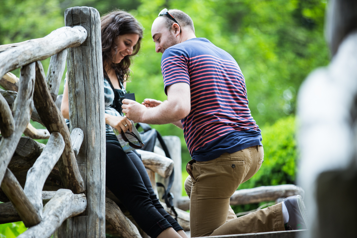 [Marriage Proposal at Shakespeare Garden in Central park]– photo[2]