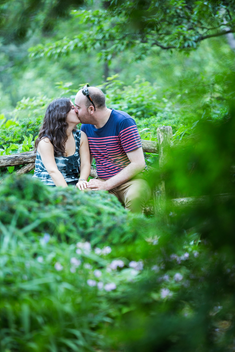 [Marriage Proposal at Shakespeare Garden in Central park]– photo[3]
