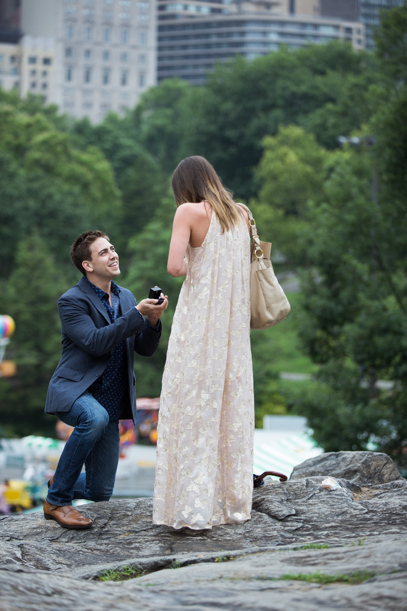 [Marriage Proposal on the Rock in Central Park]– photo[1]