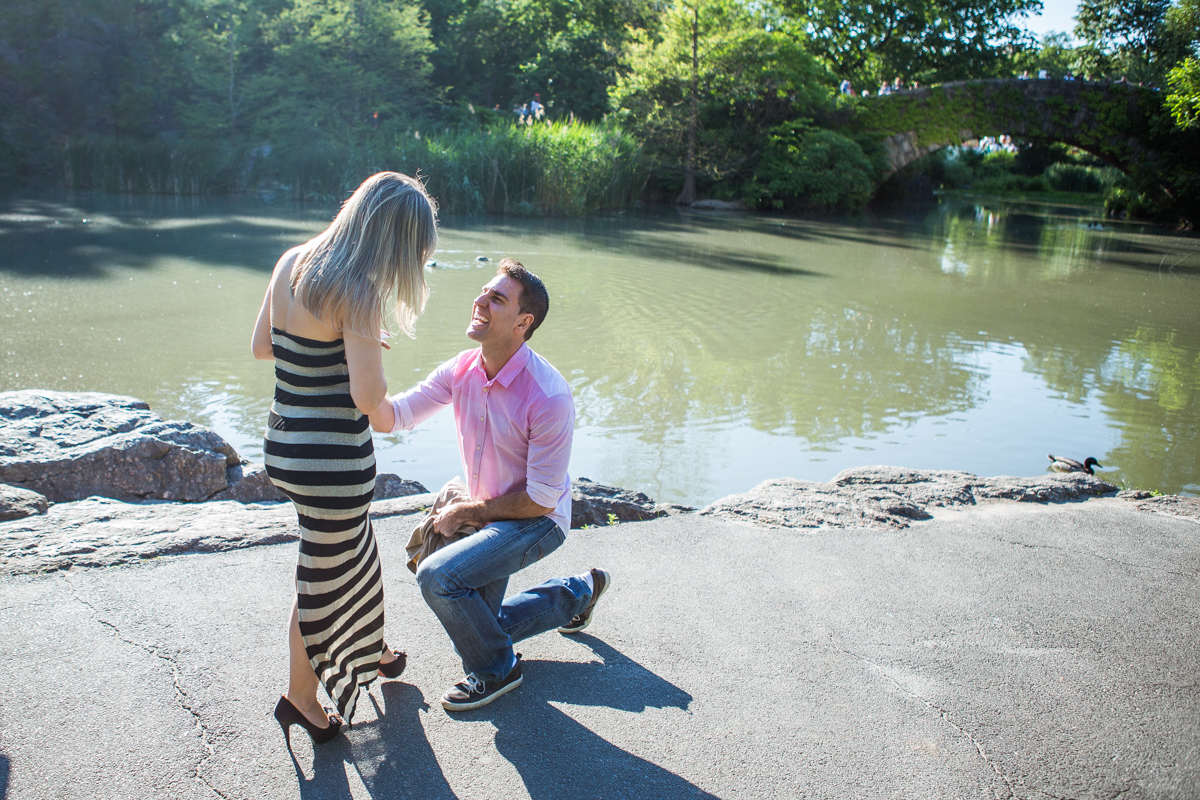 [marriage proposal by Gapstow Bridge in Central Park]– photo[1]