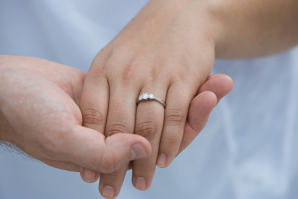 [Roosevelt Island Marriage Proposal]– photo[12]