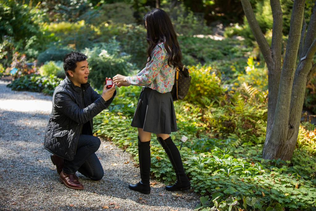 Marriage proposal New York Botanical Garden