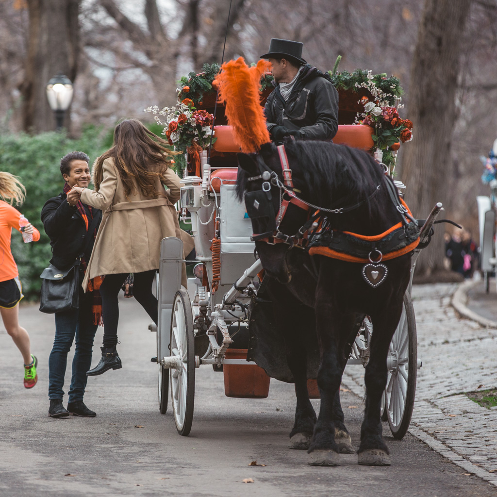 Central Park Marriage proposal under Gapstow bridge