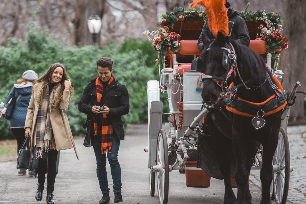 Central Park Marriage proposal under Gapstow bridge