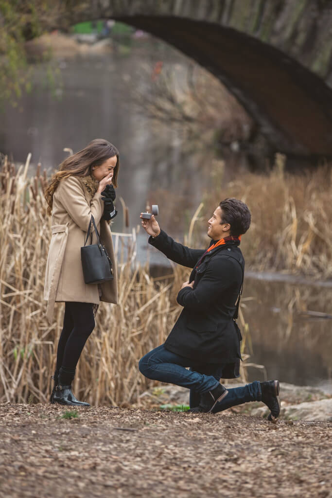 Central Park Marriage proposal under Gapstow bridge