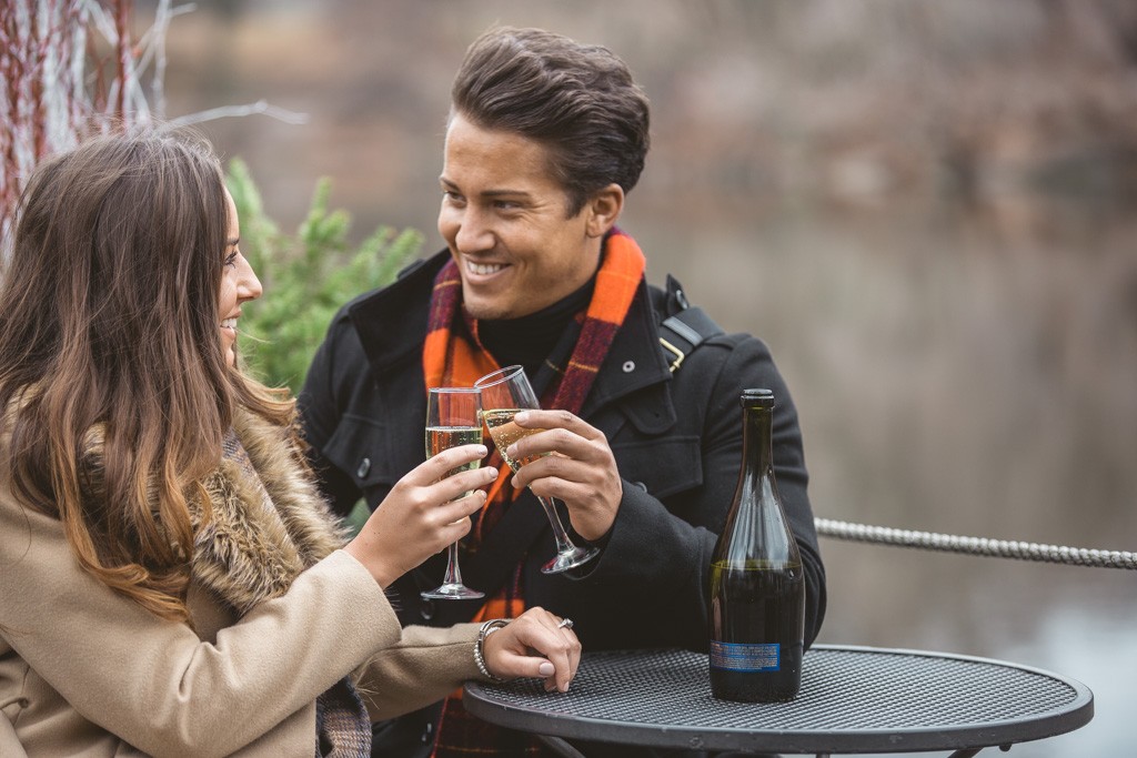 Central Park Marriage proposal under Gapstow bridge