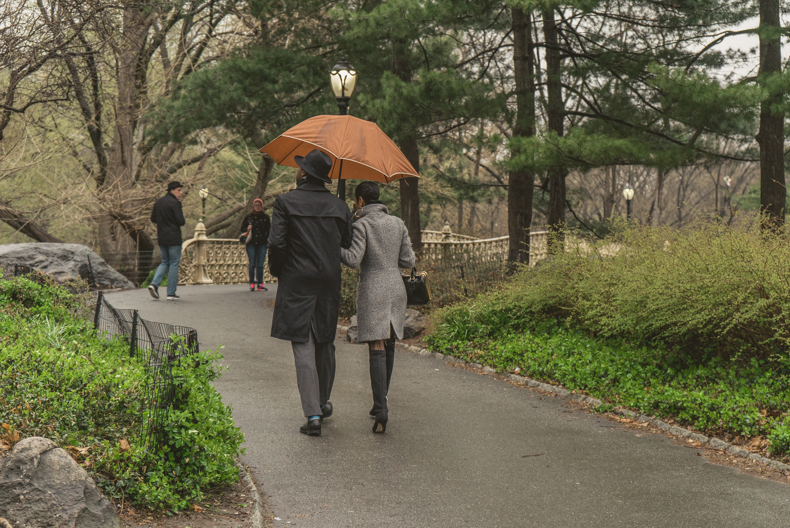 Pine Bank bridge Central Park Marriage Proposal