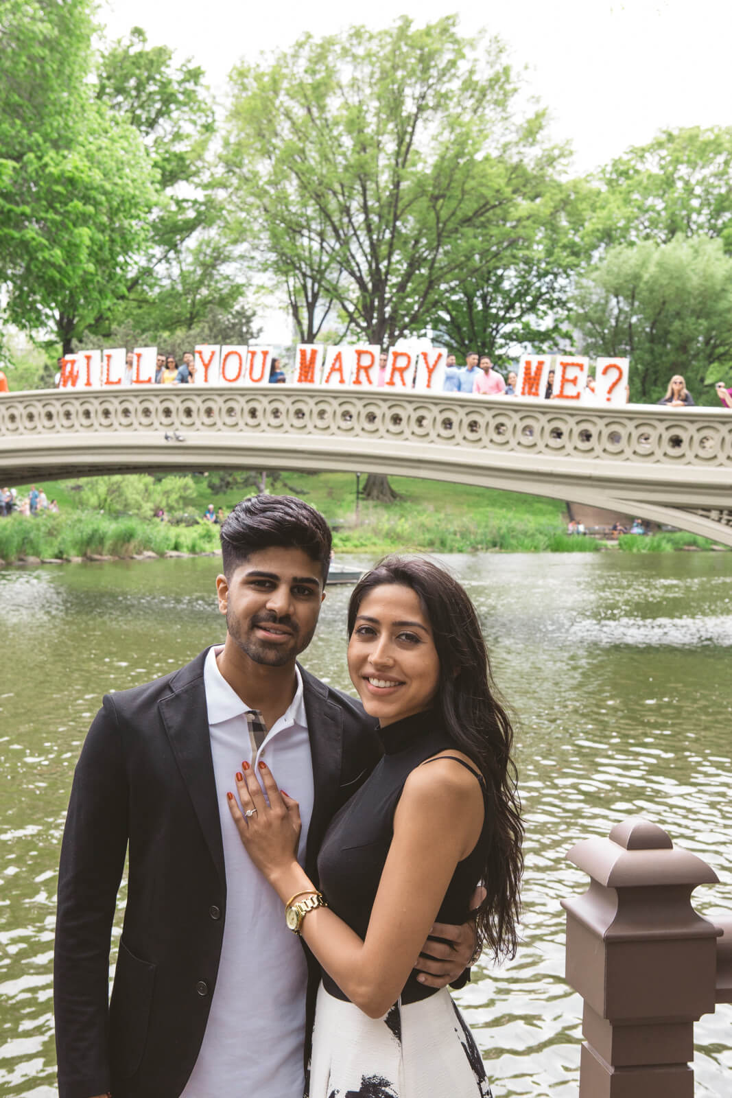 Bow Bridge view proposal in Central Park