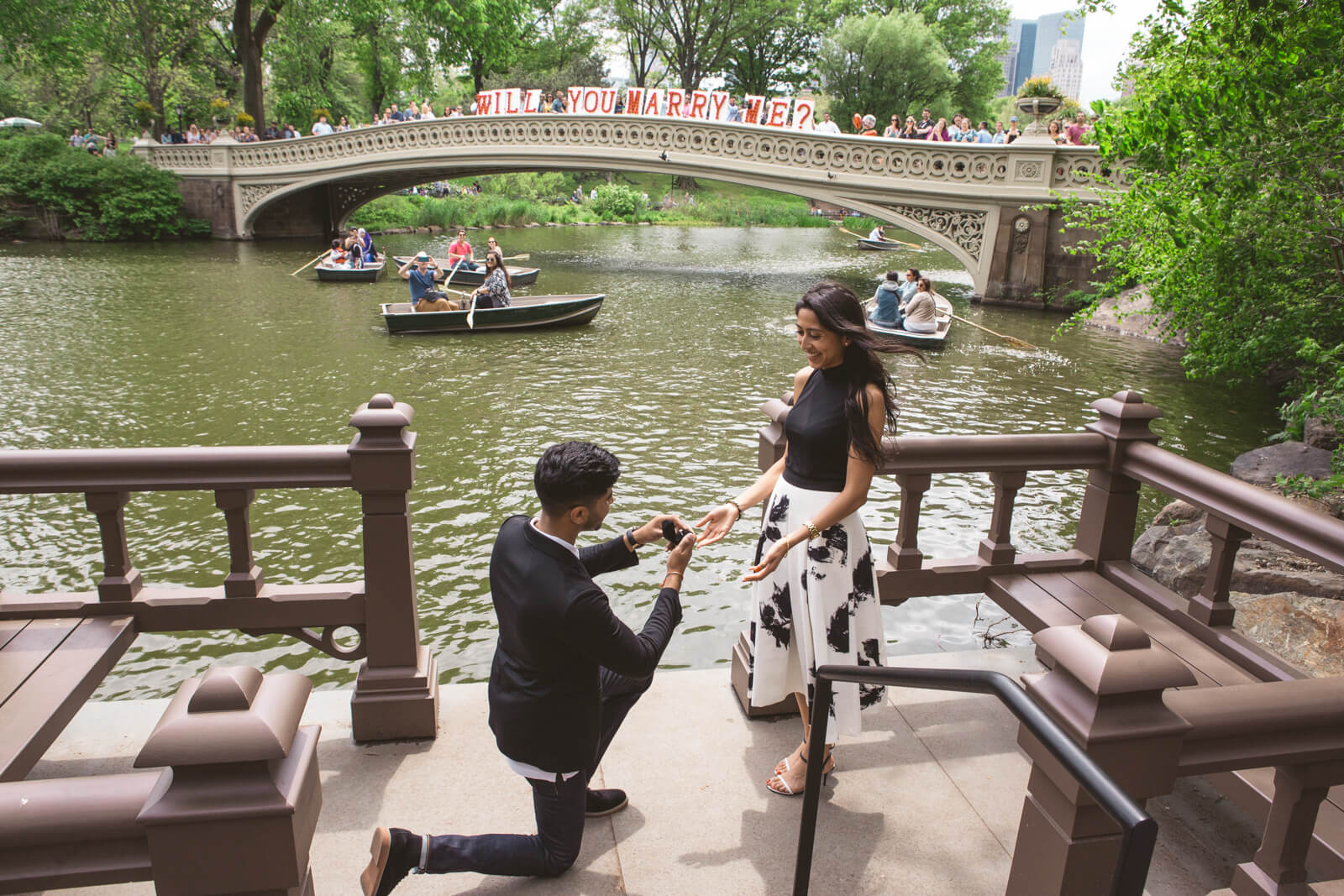 Bow Bridge view proposal in Central Park