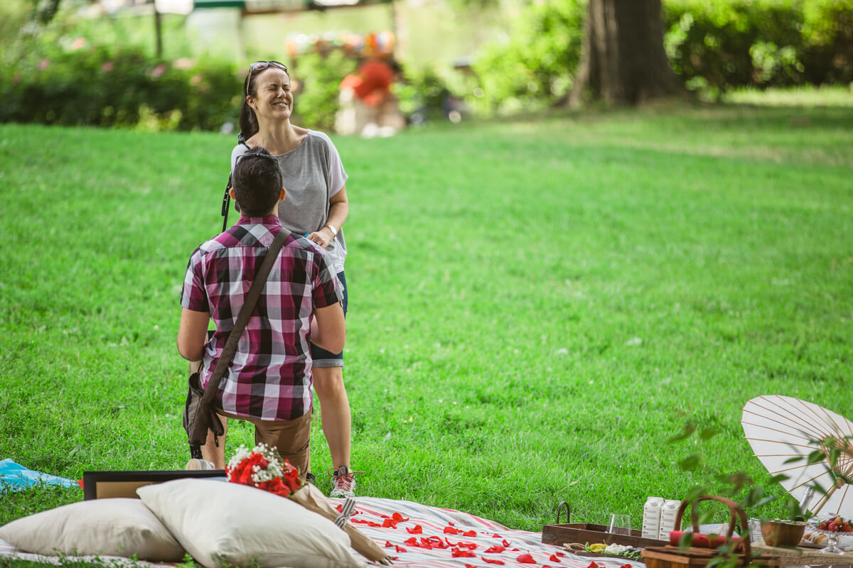 Picnic proposal central park