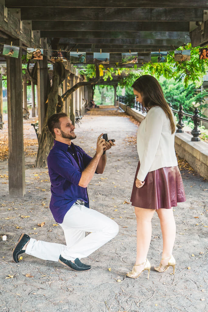 Central Park Marriage proposal 