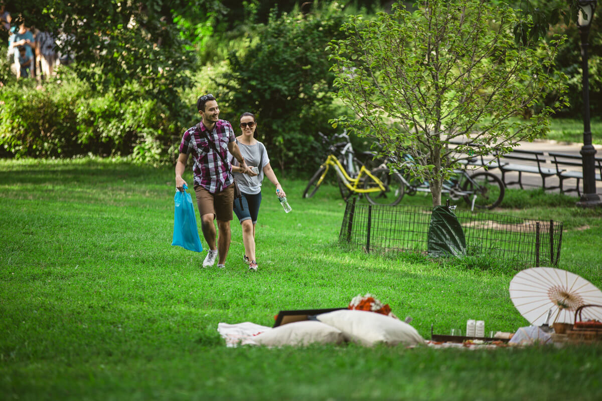 Central Park Picnic Proposal 