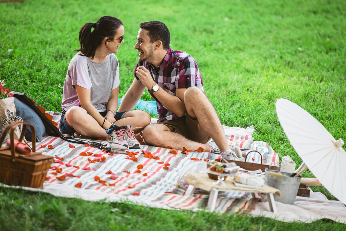 Central Park Picnic Proposal 