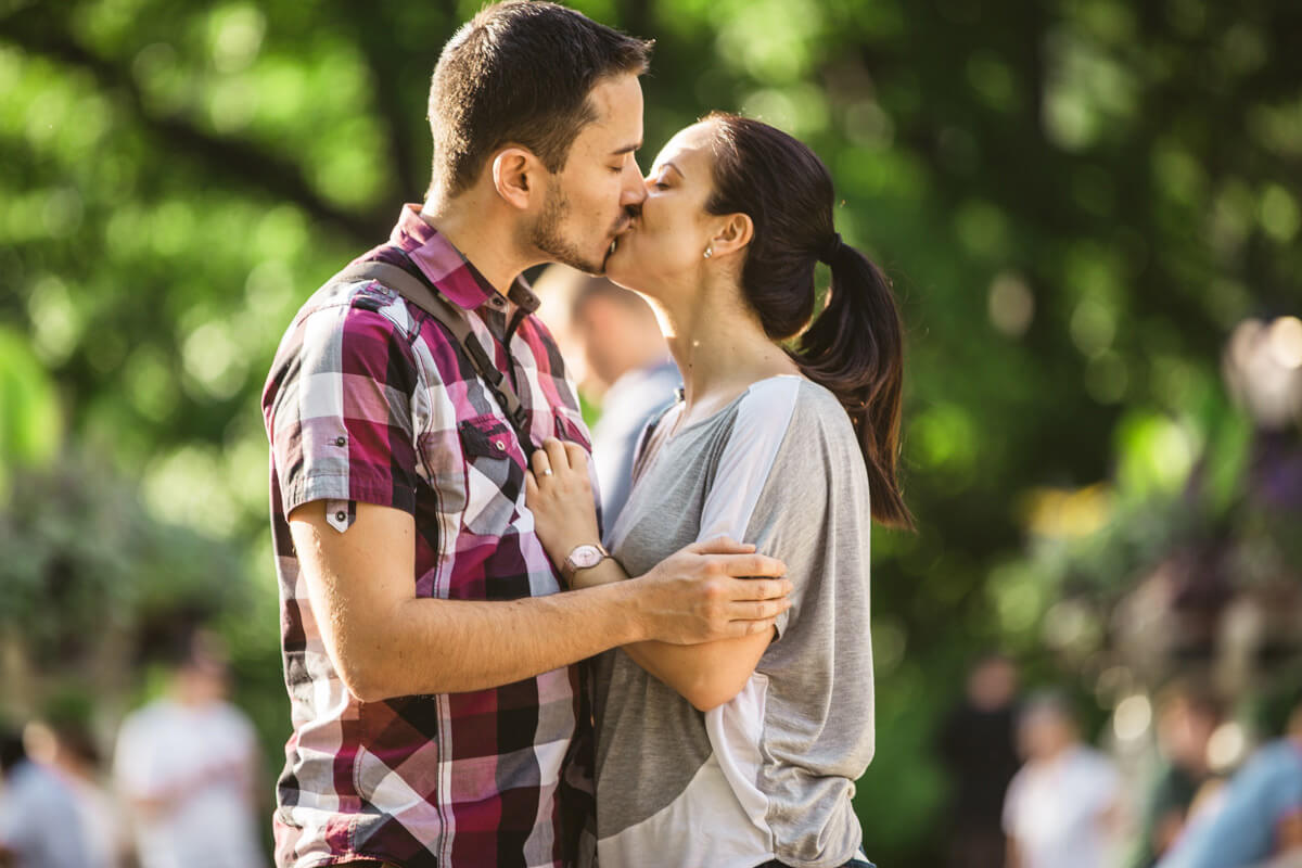 Central Park Picnic Proposal 