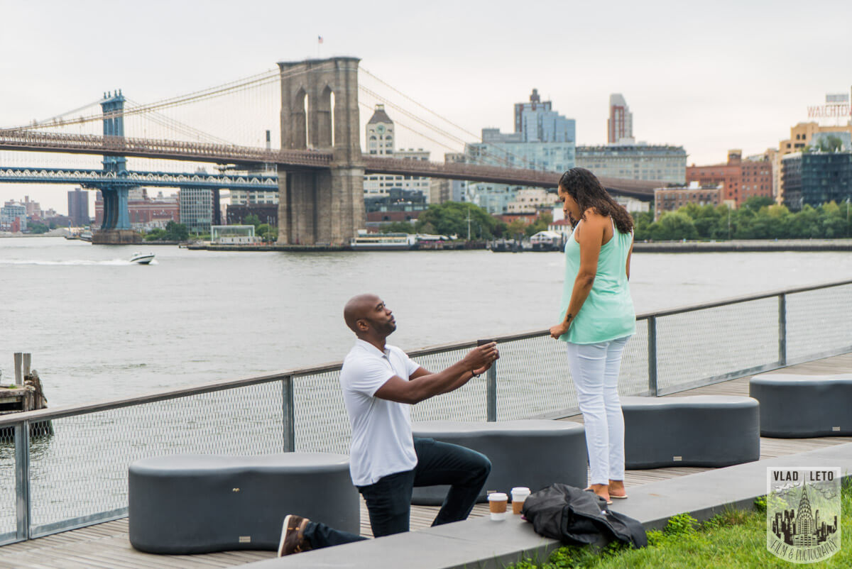 Brooklyn Bridge view proposal