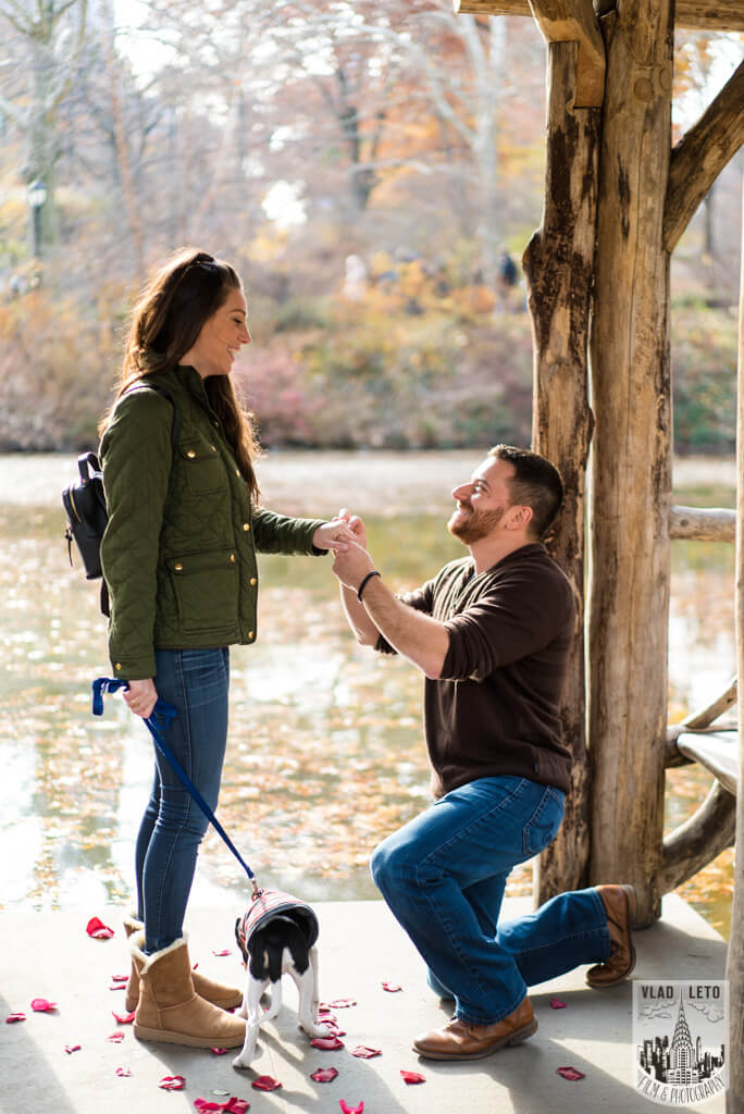 wagner cove mariage proposal photo.