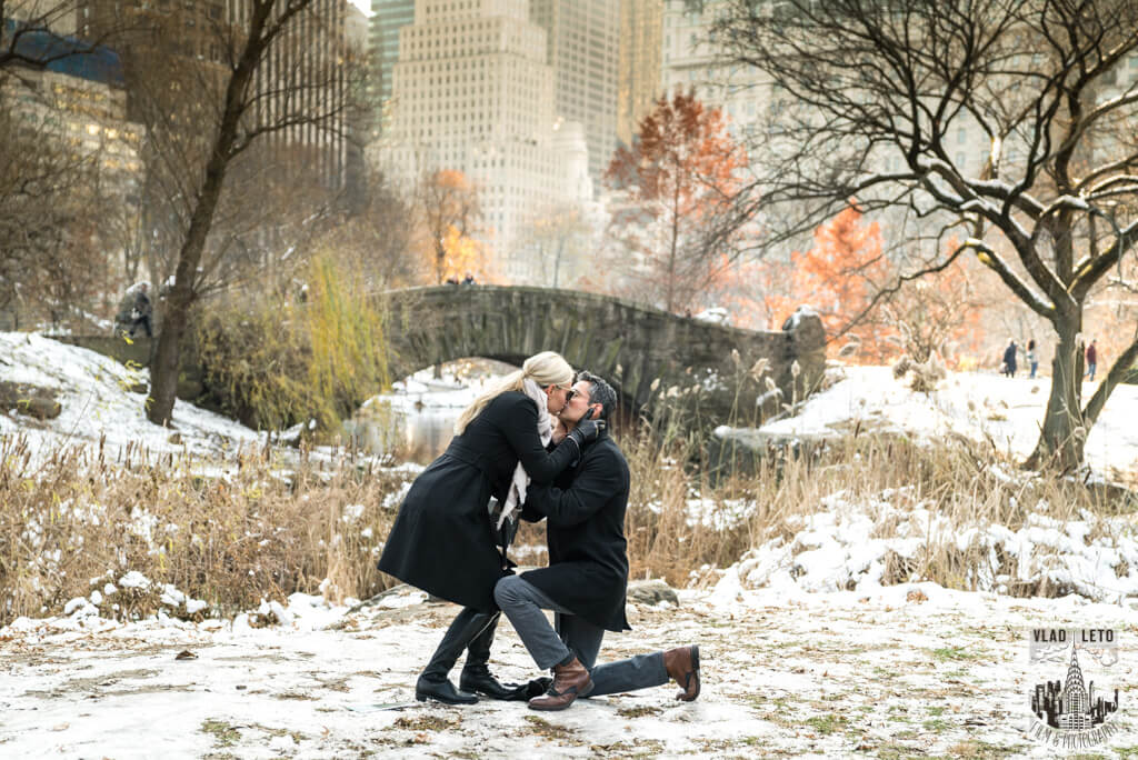 gapstow bridge proposal in central park. photographer Vlad Leto