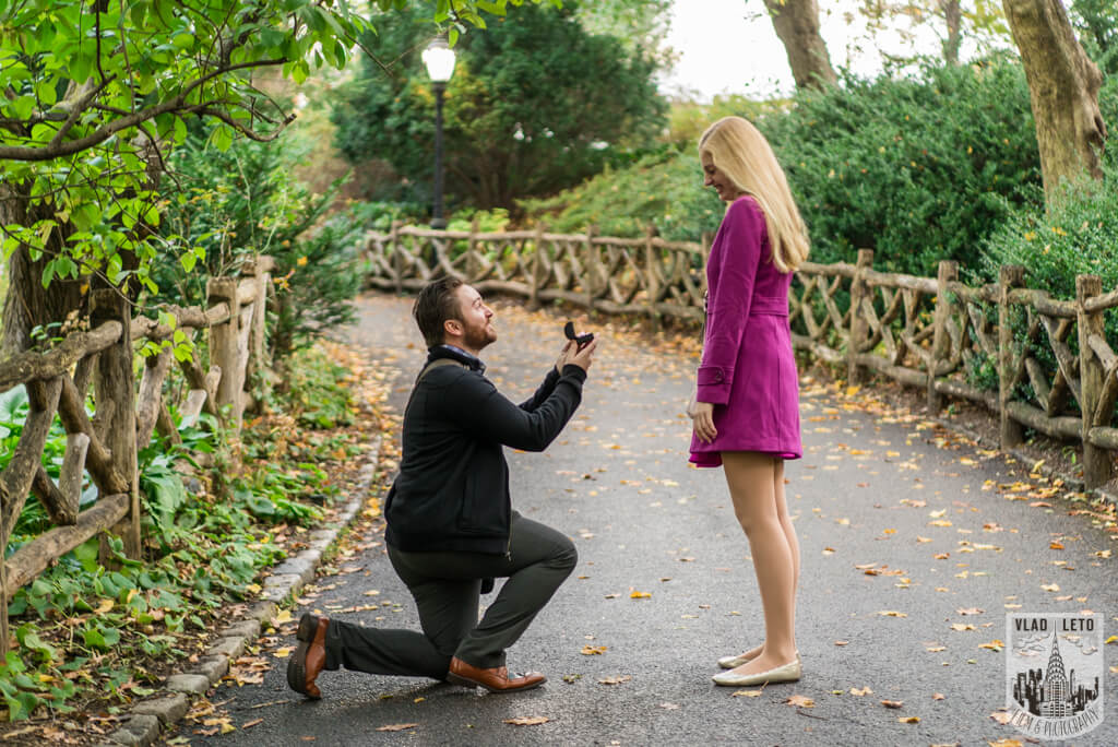 Proposal at shakespeare garden nyc