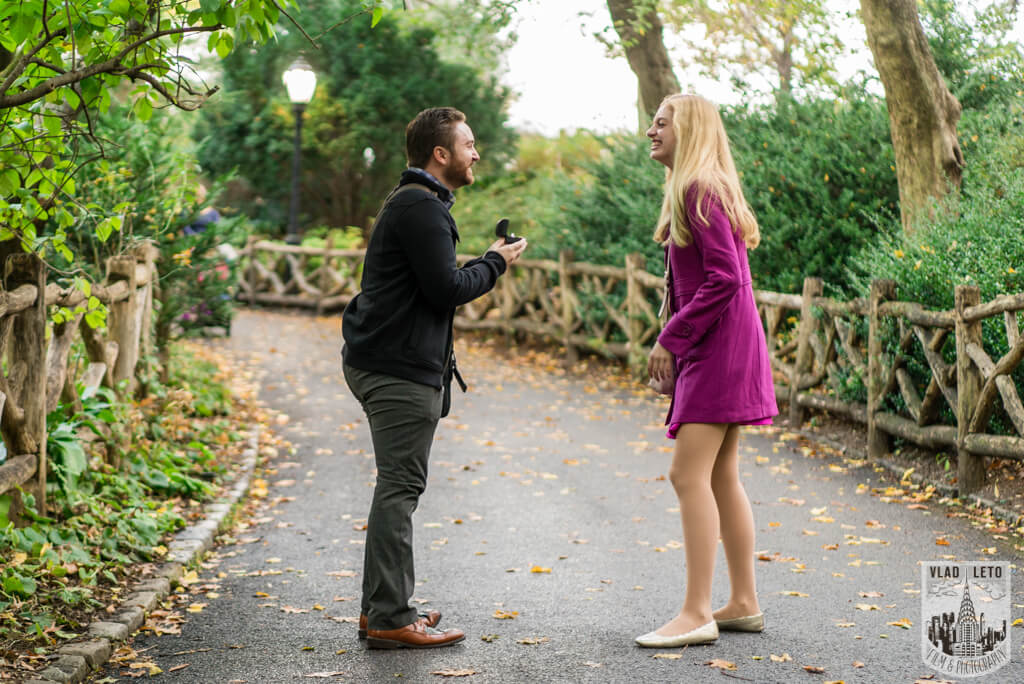 wedding proposal at shakespeare garden central park nyc