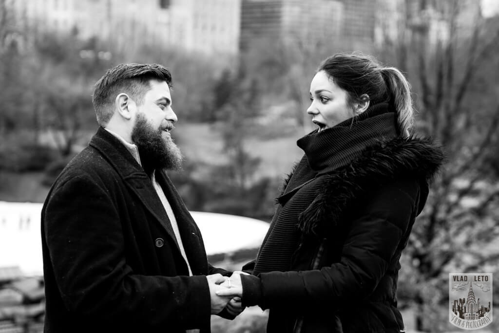 Cats Rock proposal central park