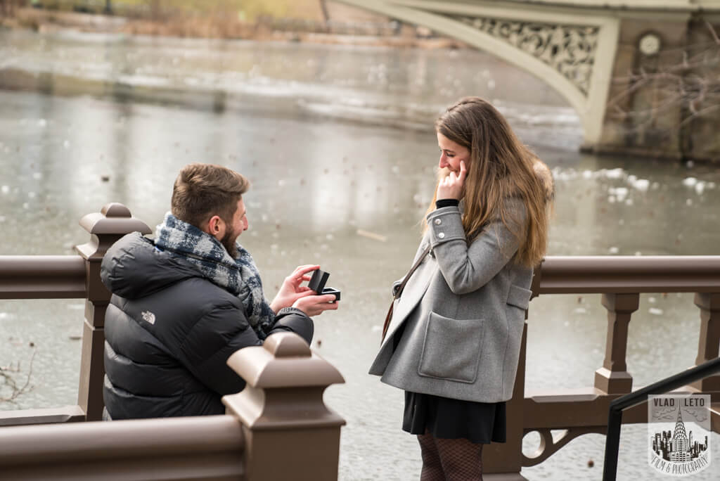 engagement proposal in central park