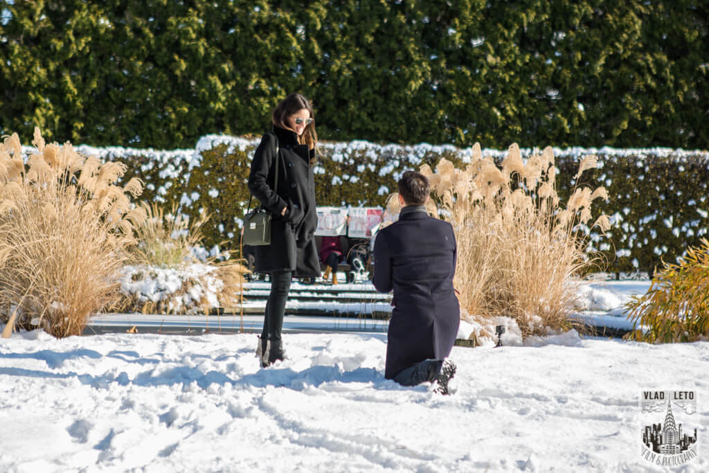 Marriage proposal idea in new york