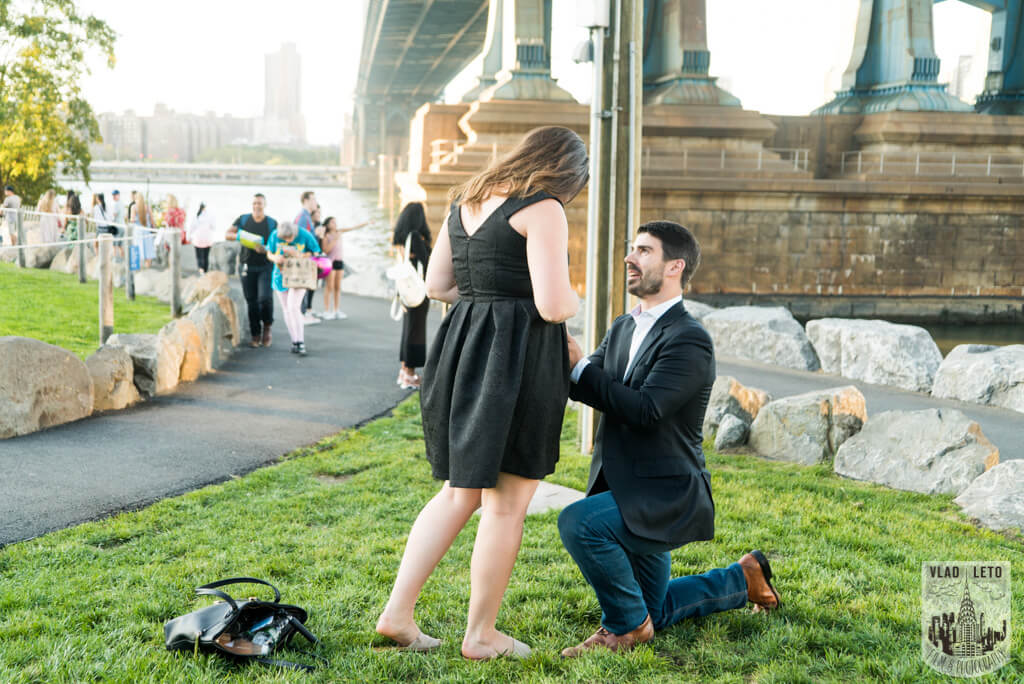 dumbo wedding proposal