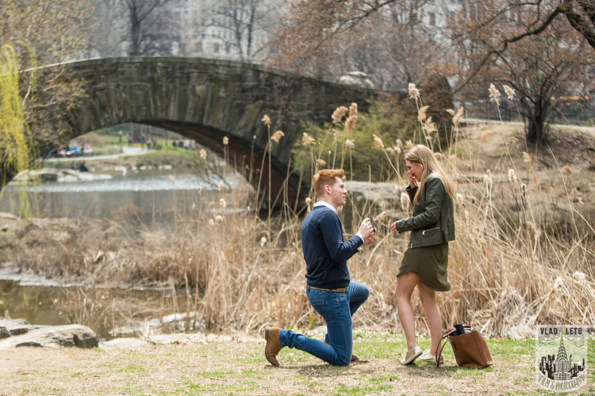 central park proposal
