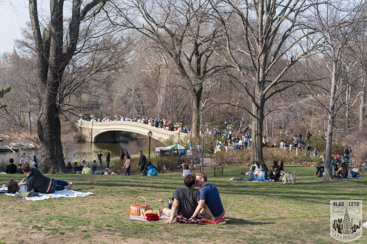 picnic in central park