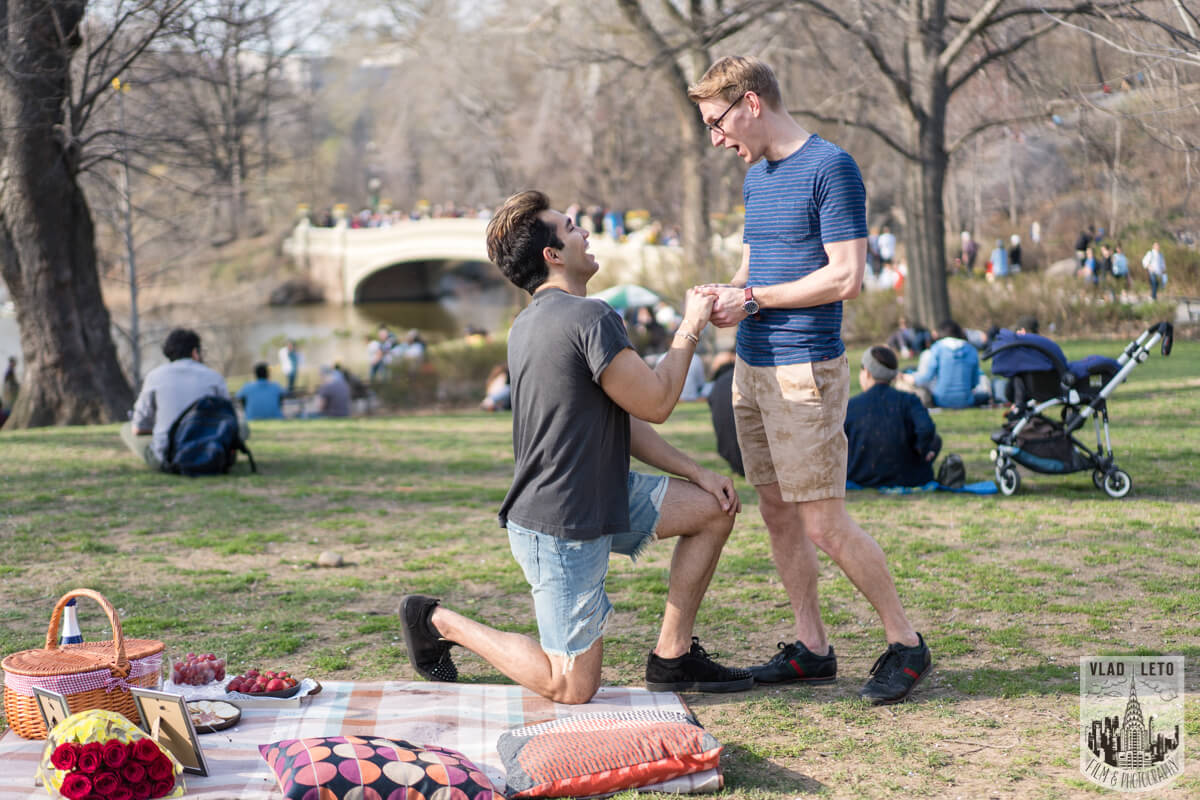 gay proposal in central park