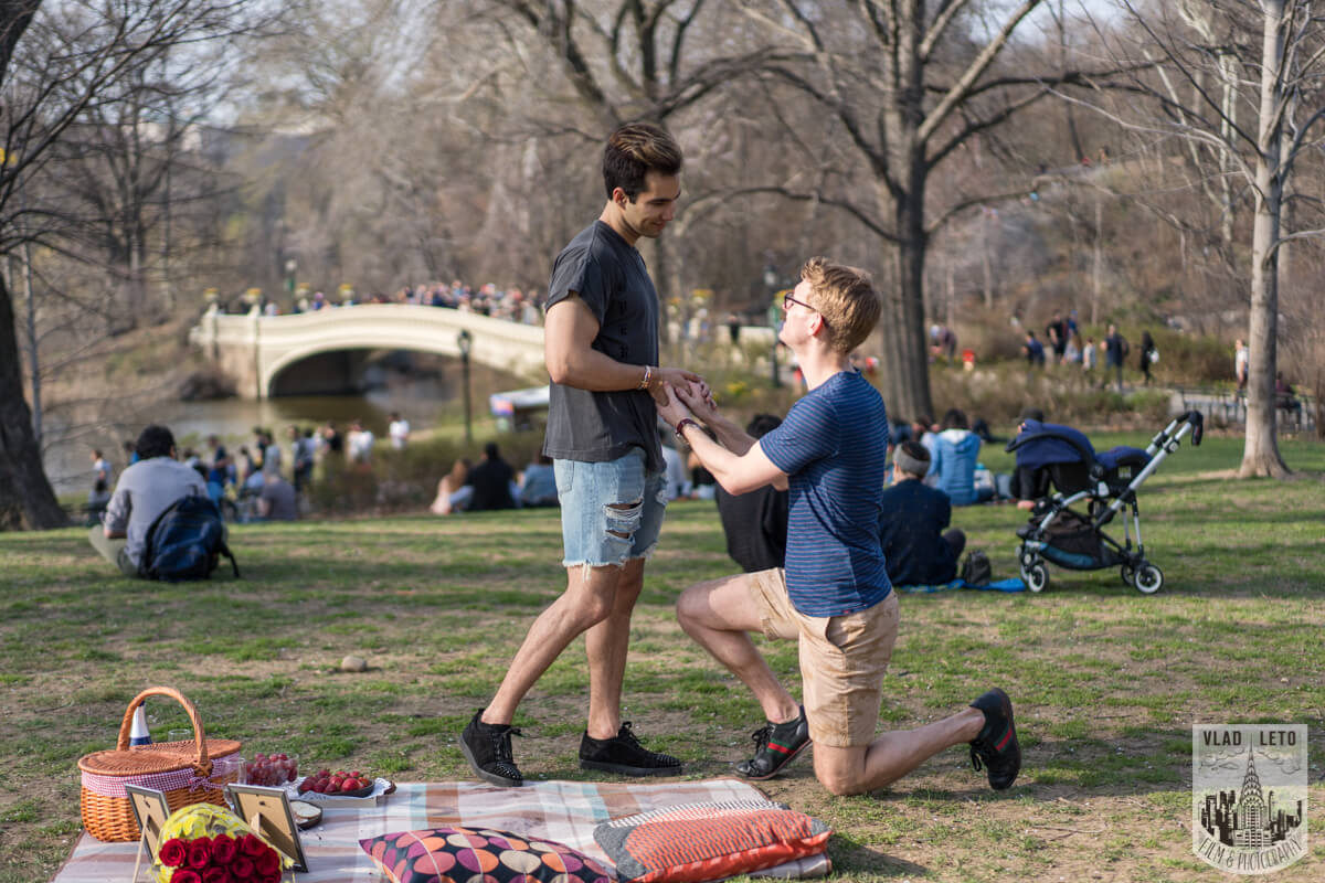Picnic Proposal in Central Park Romantic