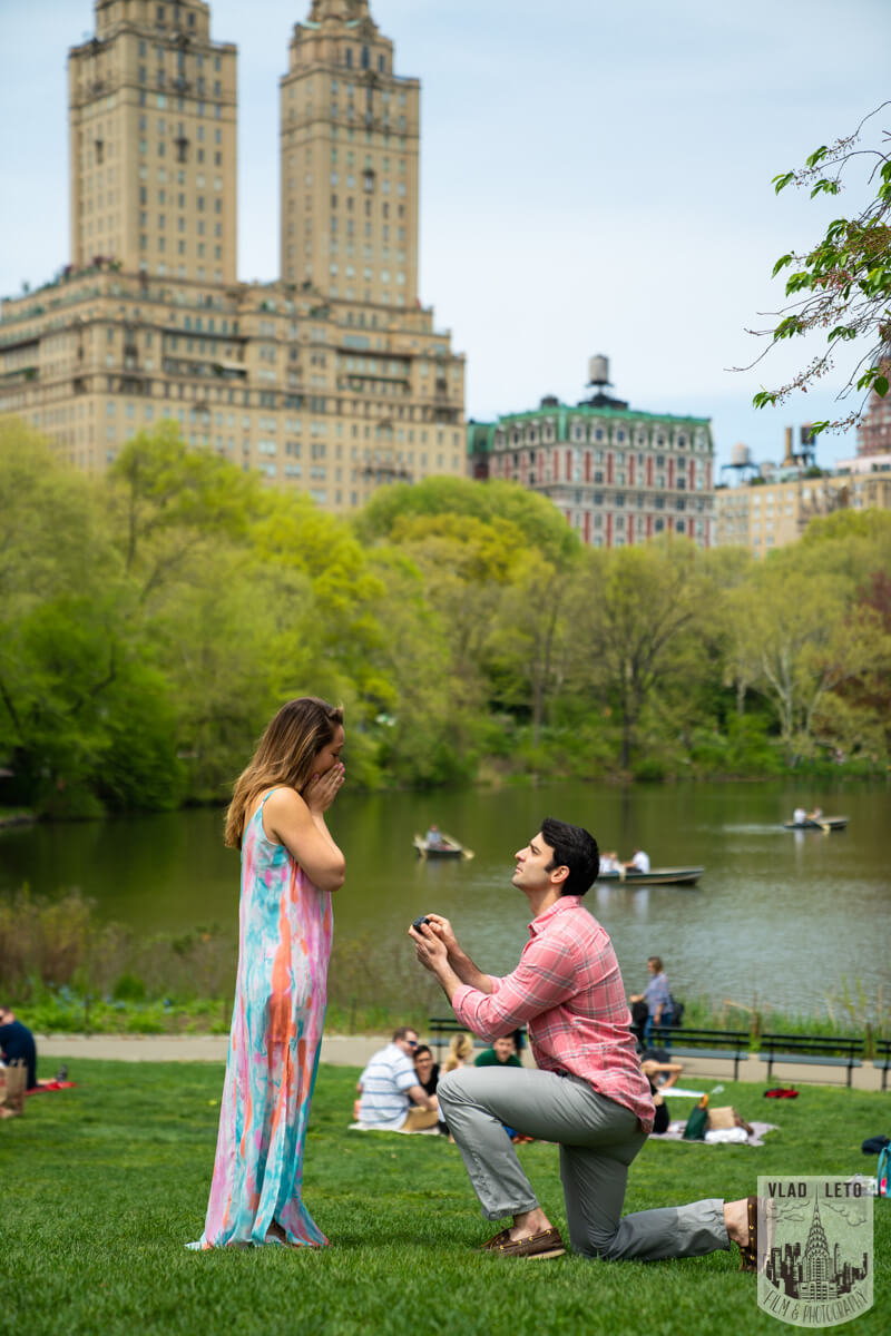 proposal in Central Park 