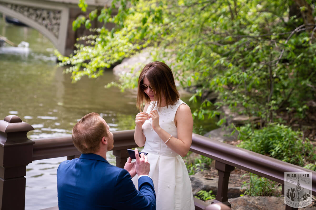where proposing in central park?