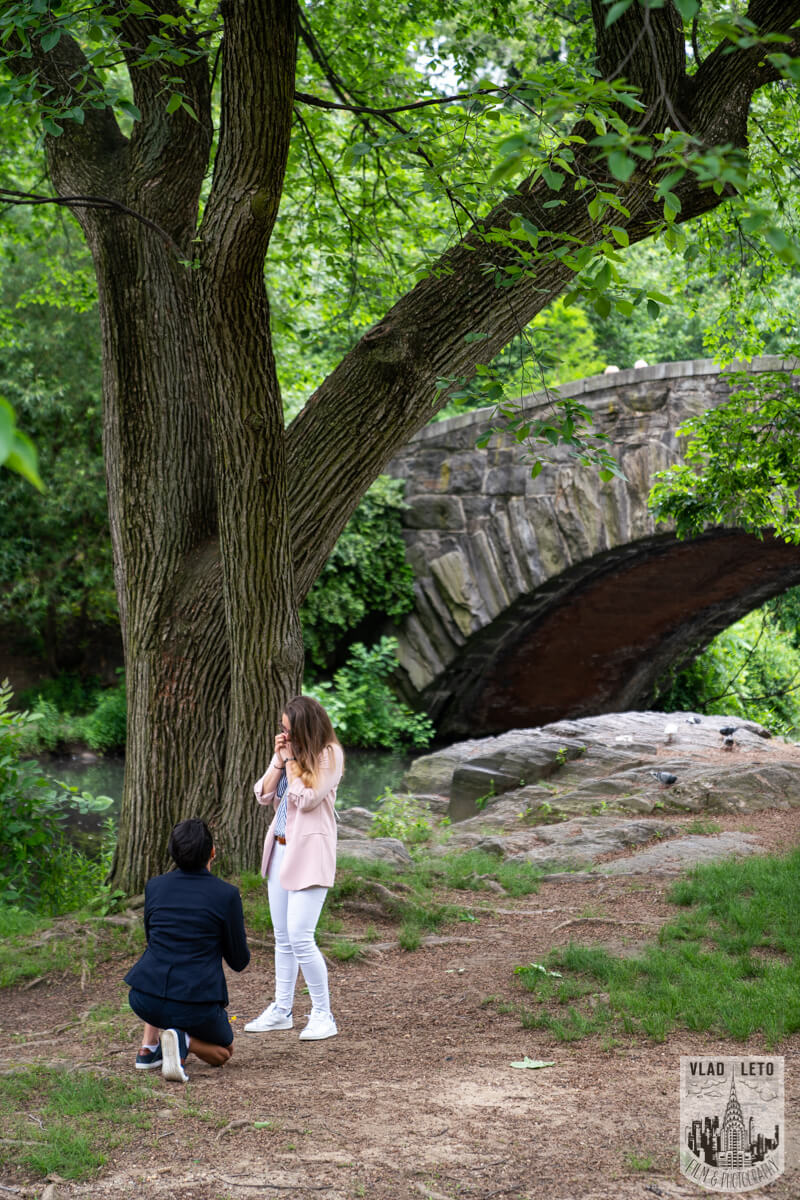Same Sex Proposal in Central Parks