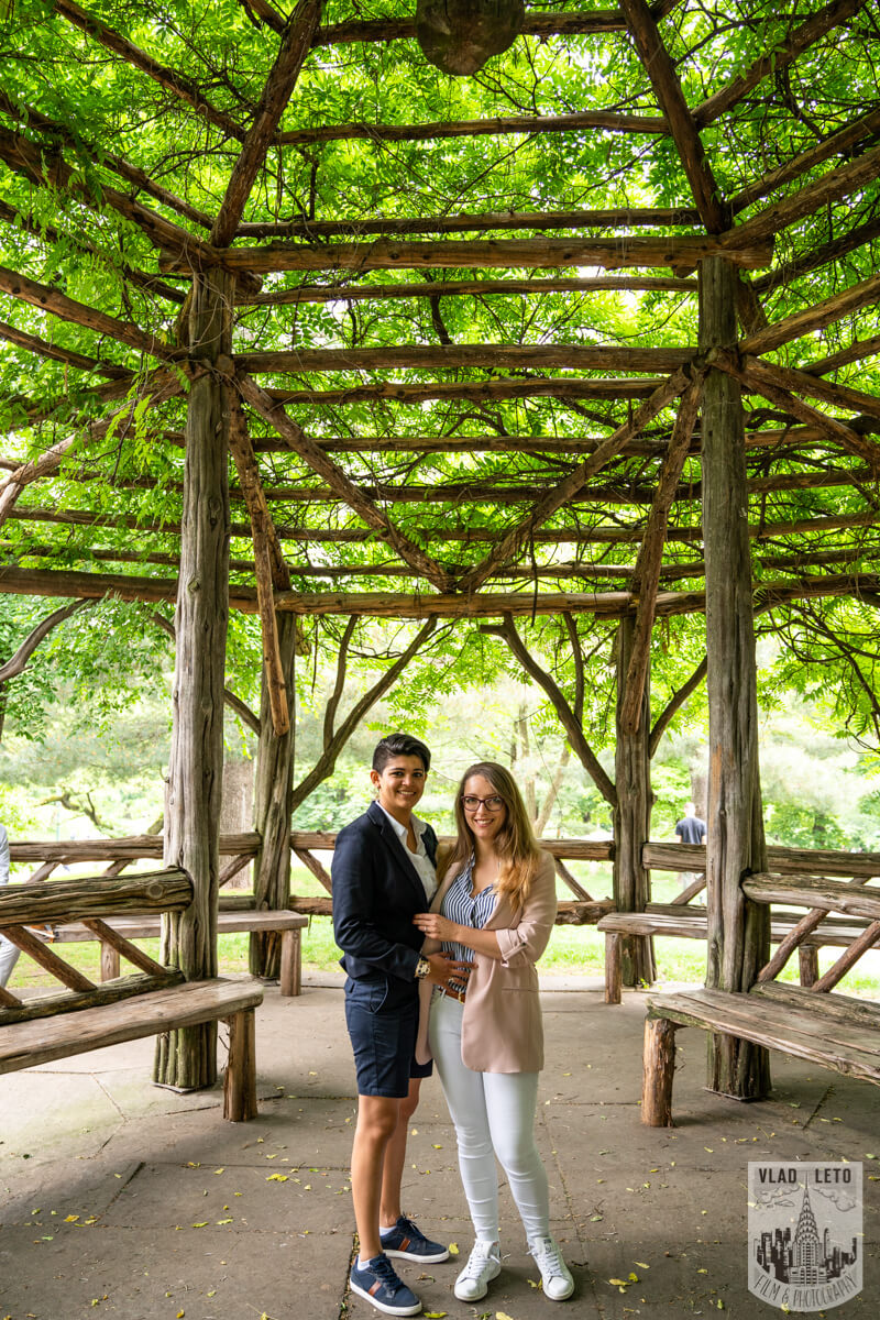 gay proposal in Central Parks