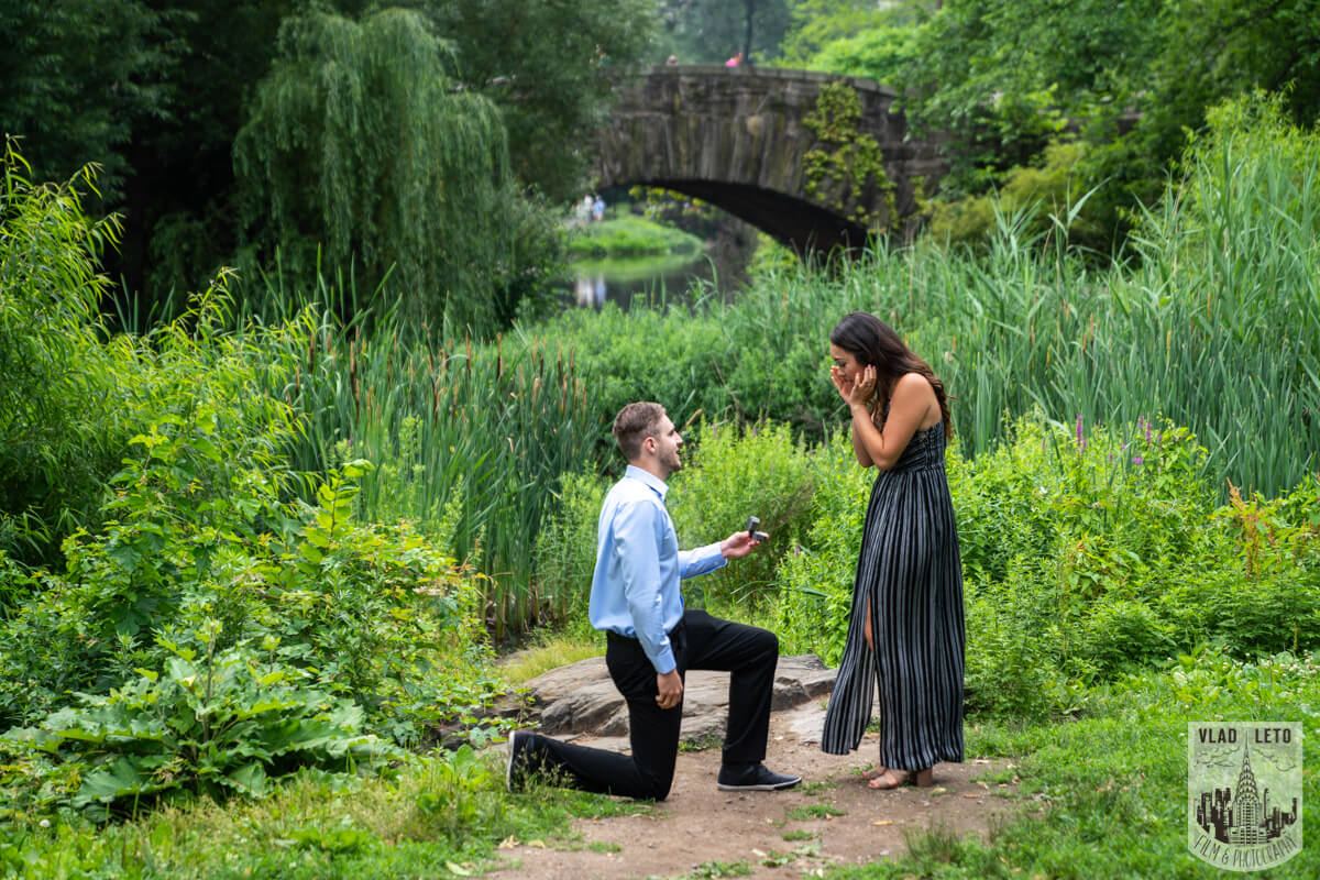 Proposal in Central park
