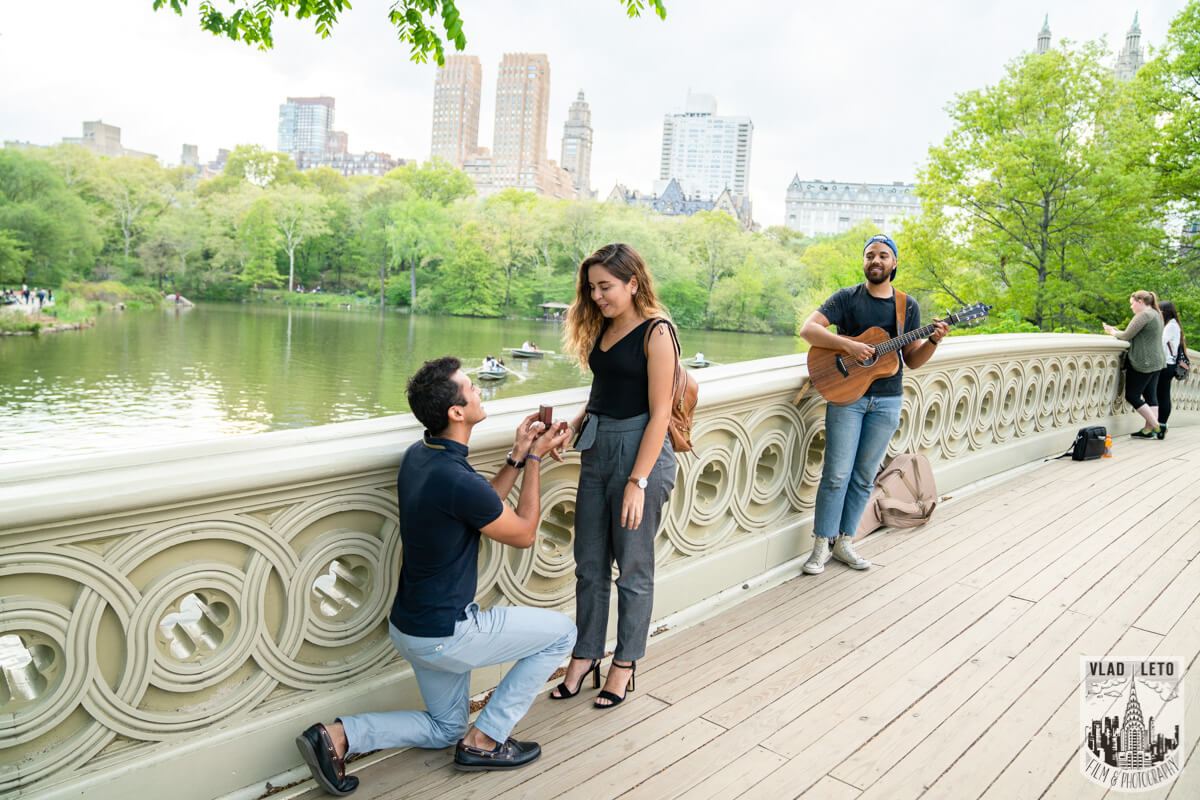  Central Park Proposal on Bow Bridge